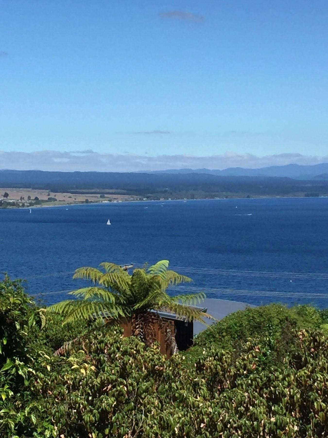 The Flying Trout Boutique Lodge Taupo Exterior photo